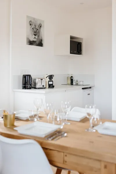 Le Reflet des Cygnes